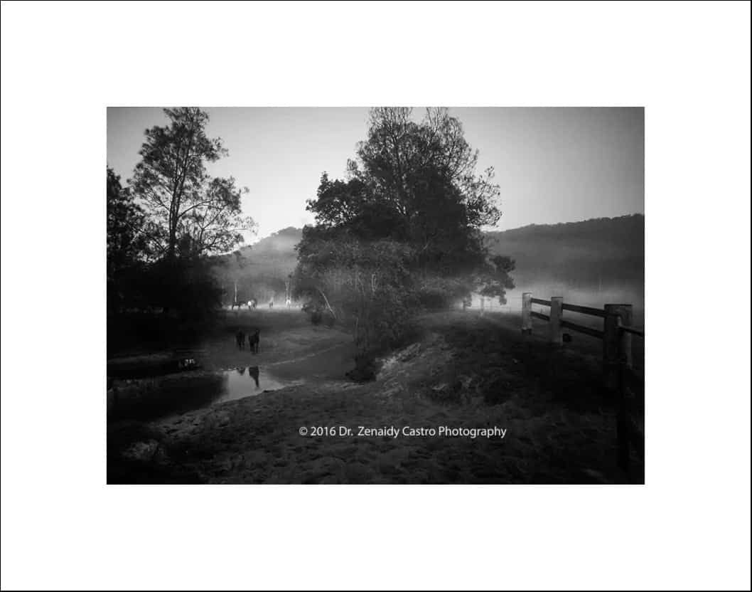  Black and White Photographer Dr Zenaidy Castro, Black and White Photographs for sale, beautiful best black and white photos, famous black and white photography and photographer