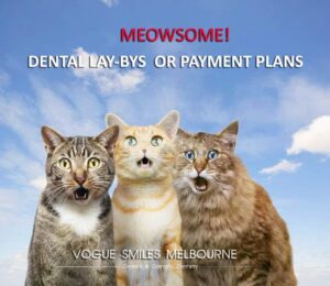 Famous Funny Cats & Dental Laughs by Dentist Dr Zenaidy